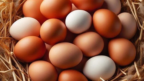 اسعار البيض اليوم2